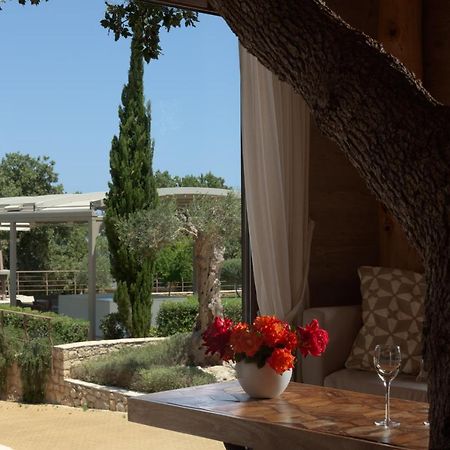 Вилла Stolidi Mou Treehouse Аципопуло Экстерьер фото